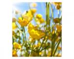 DIMEX ART Флизелинов фототапет жълти цветя 225 x 250 см