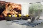 DIMEX ART Самозалепваща се флизелинова фототапета лъвица по залез 375 x 250 см