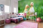 DIMEX ART Самозалепваща се флизелинова фототапета патета на експедиция 375 x 250 см