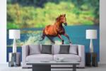 DIMEX ART Самозалепваща се флизелинова фототапета кон, тичащ през езеро 375 x 250 см