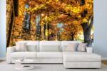 DIMEX ART Самозалепваща се флизелинова фототапета есен в града 375 x 250 см