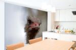 DIMEX ART Самозалепваща се флизелинова фототапета двупръст щраус 375 x 250 см
