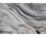 DIMEX ART Самозалепваща се флизелинова фототапета дървесна структура 375 x 250 см