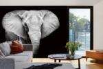 DIMEX ART Самозалепваща се флизелинова фототапета черно-бял слон 375 x 250 см