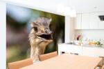DIMEX ART Самозалепваща се флизелинова фототапета пампас рея 375 x 250 см