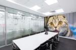 DIMEX ART Самозалепваща се флизелинова фототапета забавна котка 375 x 250 см