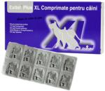 chanelle Exitel Plus XL Caine, 1 tableta (1241-55)