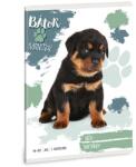 Ars Una Füzet vonalas ARS UNA A/5 32 lapos 14-32 1. osztályos Bátor mancsok-Rottweiler (53584991)