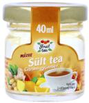 Fruit Tea Sült tea FRUIT TEA citrom-gyömbér 40 ml - vectraline