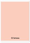 Fortuna Füzet vonalas FORTUNA Monocolor A/5 32 lapos 21-32 4-8. osztályos pasztell barack (01.02087) - vectraline