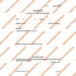 Pátria Immateriális javak, tárgyi eszközök selejtezési jegyzőkönyve A/4 álló