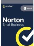 Symantec Small Business Premium 250 GB, 1 User, 6 Devices, 1 Year, Base Electronic (21467314)