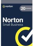 Symantec Small Business 250 GB, 1 User, 20 Devices, 1 Year, Base Electronic (21467313)