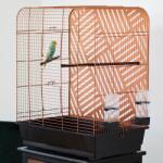 Inter-Zoo Pet Products Colivie pentru păsări Doris Industrial 54 x 34 x 65 cm