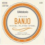  D'Addario EJ63 banjo húr