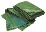 RAINEXO Prelata Rainexo, verde/albastra, 2x3m, 150g/m2 (5055320001126)