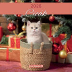  Falinaptár lemez nagy, 315x315mm, 2026. évi, Cicák