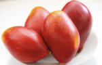  MANGO PALMER (rosu) IMPORT BRAZILIA cutie 4kg net 9buc
