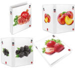 Pigna Gyűrűs könyv Pigna Fruits A/4 4 gyűrűs 40 mm gerinccel (023262830/023302430) - argentumshop