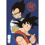  Dragon Ball Duo polár takaró 100x140cm (AYM989294)