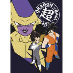  Dragon Ball Defenders polár takaró 100x140cm (AYM114011)