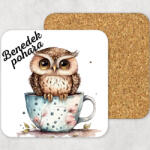 csucsajandek Poháralátét - fiú bagoly (CSW905206)