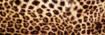 DIMEX ART Fototapet pentru bucătărie - piele de leopard 180 x 60 cm