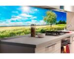 DIMEX ART Fototapet pentru bucătărie - copac în pajiște 180 x 60 cm
