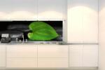 DIMEX ART Fototapet pentru bucătărie - frunză verde 180 x 60 cm