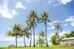 DIMEX ART Fototapetă vlies palmieri pe plajă 375 x 250 cm