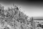 DIMEX ART Fototapetă vlies răsărit de soare uimitor 375 x 250 cm