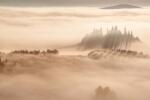DIMEX ART Fototapetă vlies răsărit de soare în ceață 375 x 250 cm