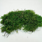 Pet King Szárított erdei mohalap| Természetes terráriumi dekoráció - 100 g