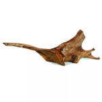 AQUAEL Mangroove decor Large | Akvárium dísz (Mangrove gyökér)