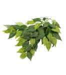 Repti Zoo Ficus műnövény - kicsi