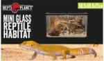 Repti Planet Mini Glass Reptile Habitat | Paludárium - 50.5 x 30.5 x 25 cm