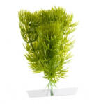 JK | Anacharis, műnövény dekorácó - 13-16 cm