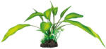 SuperFish | ART PLANT, CRYPTOCORYNE | Műnövény dekoráció - 25 cm