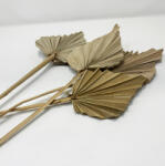 Pet King Pet King| szárított pálma levél és ág| természetes dekor terráriumba - 1db