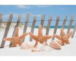 DIMEX ART Fototapetă vlies stea de mare pe plajă 375 x 250 cm