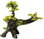 SuperFish | DECO BONSAI | Bonsai dekoráció - L