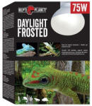 Repti Planet Daylight Frosted | Nappali izzó - 75 W