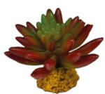 REPTO | PLANT SUCCULENT RED | Műnövény dekoráció, piros színű - 10x10x8 cm
