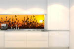 DIMEX ART Fototapet pentru bucătărie - stuf 180 x 60 cm