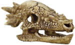 SuperFish | SKULL T REX | T-Rex, koponya M - 15x11x8 cm