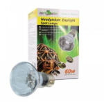 Repti Zoo Day light Spot Neodimyum | melegítő izzó - 60 W