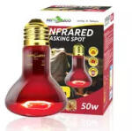 Repti Zoo Infrared Basking Spot | Infravörös hősugárzó izzó - 50W