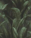 RASCH Tapet vlies de perete rasch back to nature 416237