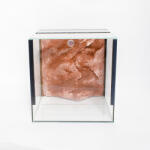 Pet King 40 x 40 x 40 cm | Prémium minőségű terrárium | 3D sziklaháttérrel