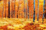 DIMEX ART Fototapetă vlies pădure galbenă de toamnă 375 x 250 cm